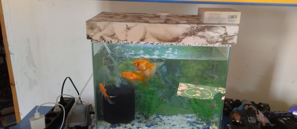 Продам срочно аквариум