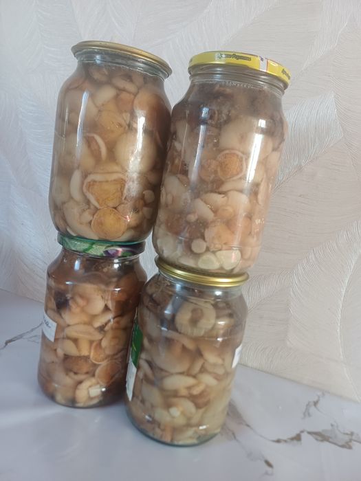 Маслята маринованные