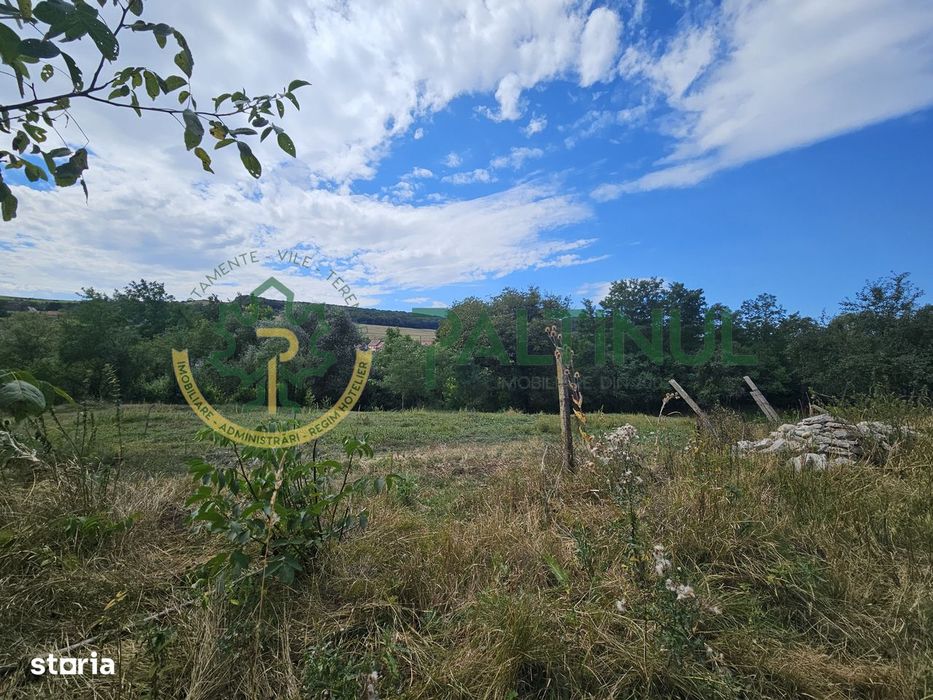 Teren intravilan de vânzare în Alămor, Sibiu, deschidere generoasă, ut