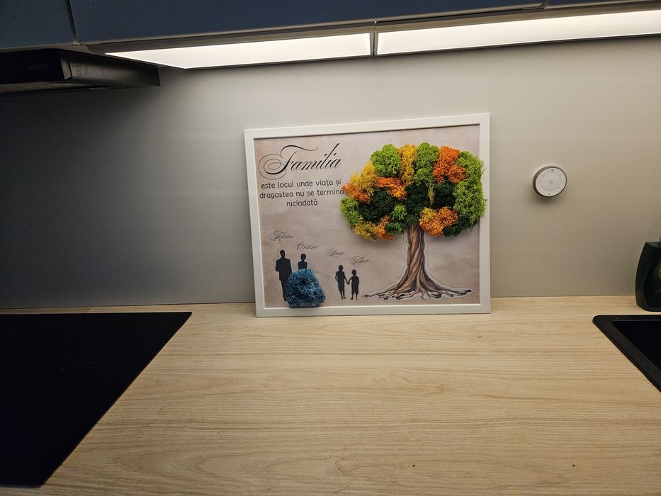 Tablou licheni 40×50