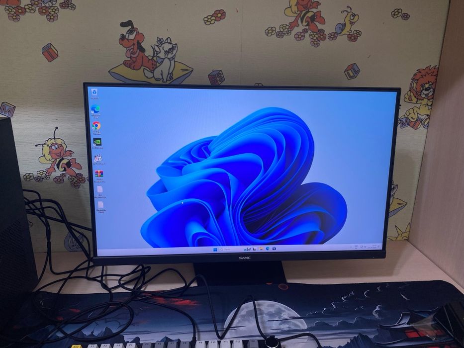 Windows 10 / 11 + microsoft office