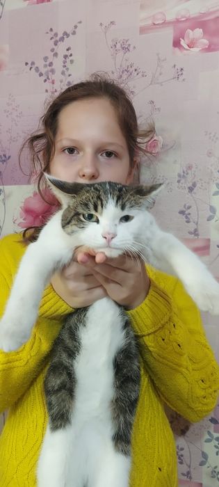 Отдам хорошего котика