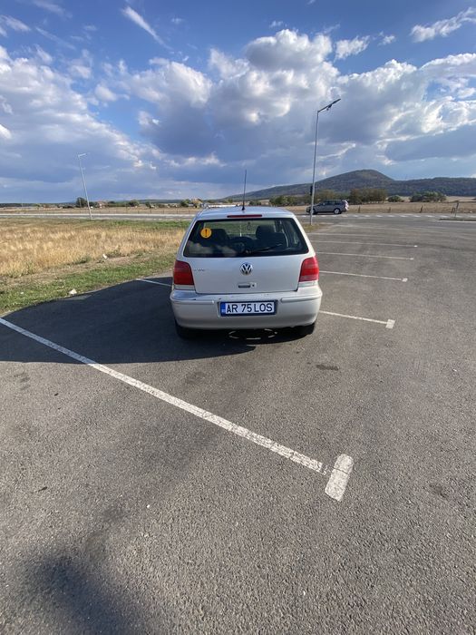 Polo de vânzare