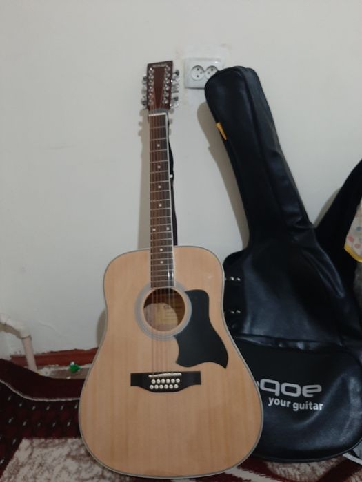 Gitara homage 12 struna