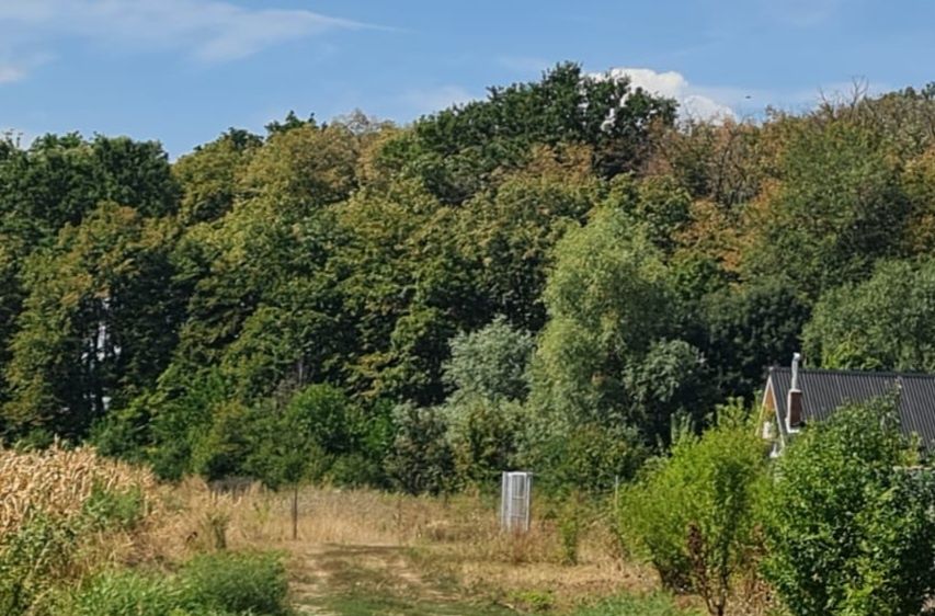 Teren langa Bucuresti -, 700 mp utili cu 2 intrari la poalele padurii Codalba  Ilfov