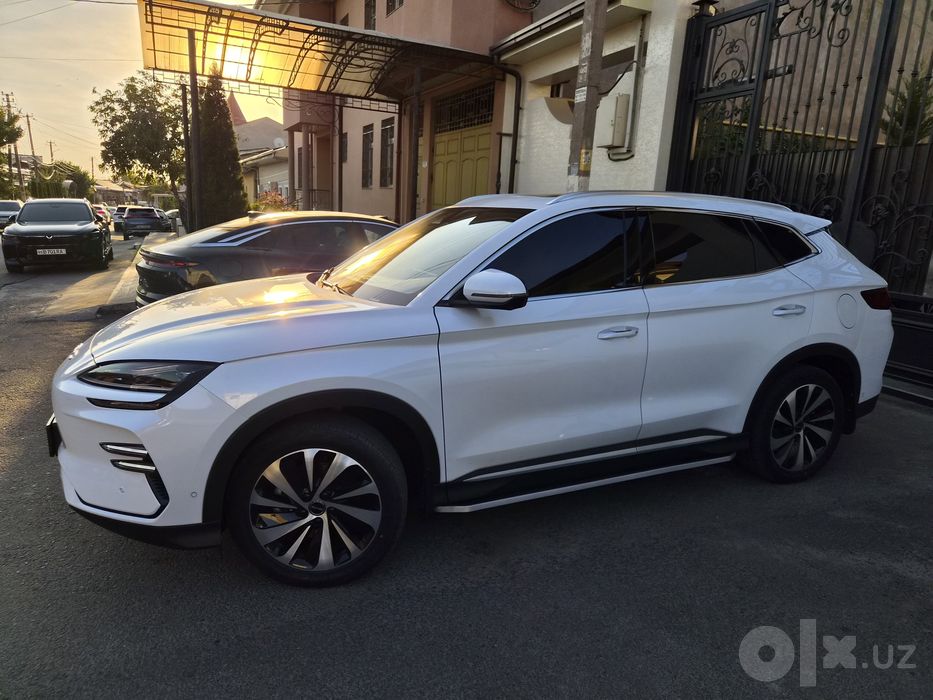 Byd champion 605 тали 2023 yil