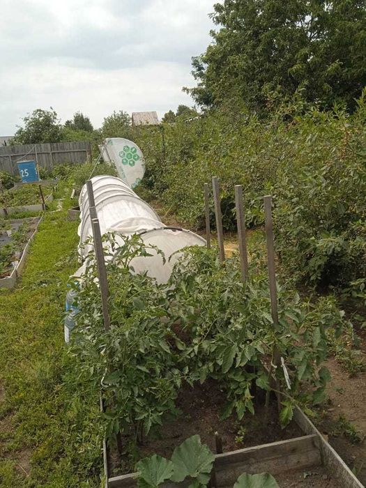 Продам дачу в СО "Геолог"