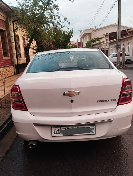 Arenda cobalt kraska toza