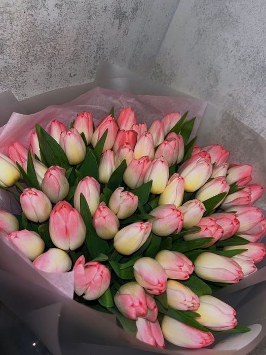 Тюльпаны Алматы свежая поставка