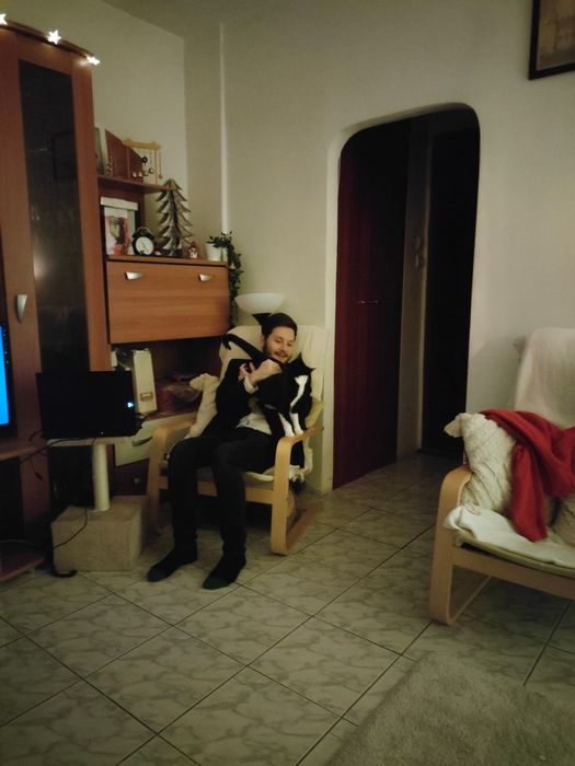 Pet Sitter Bucuresti