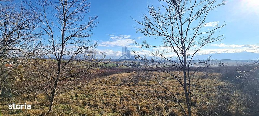 Teren Extravilan cu Vedere spre Munti \ Sibiu - Bavaria - Daia Noua