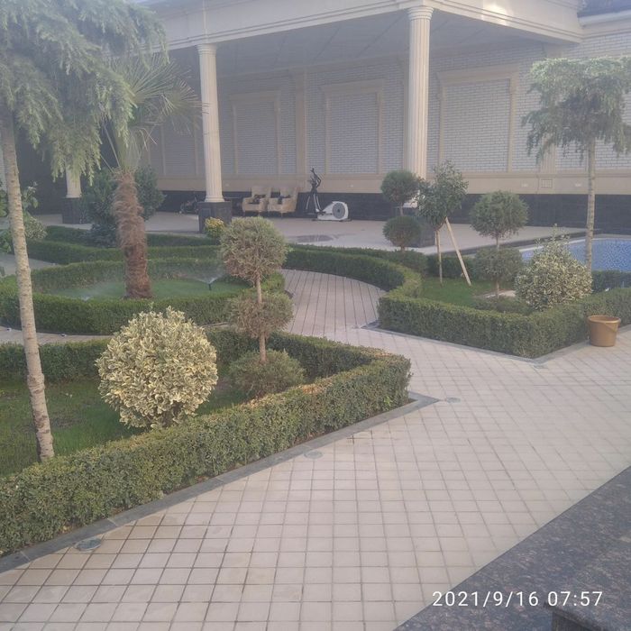 Landshaft yaratish.Gazon,archa,mevali daraxlar