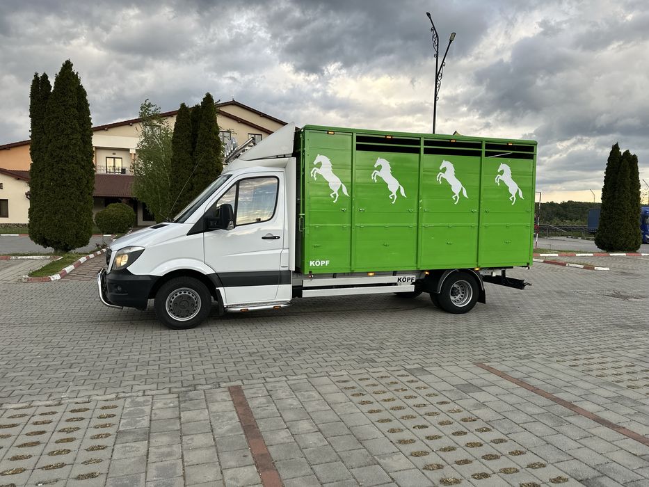 Mercedes sprinter 519 , transport animale , iveco daily