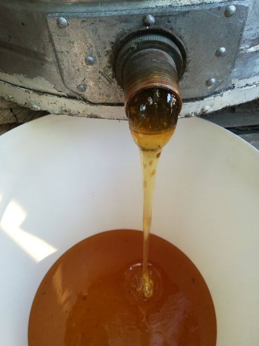 Miere floarea sorelui ,capaceala.