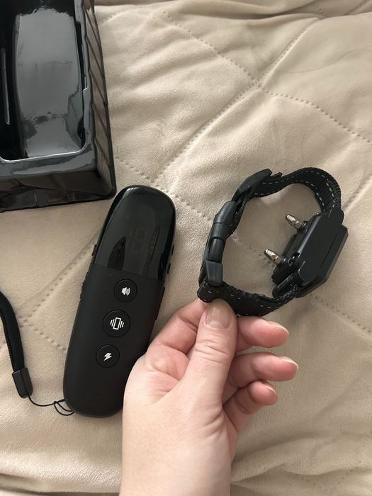 Ошейник для дресиррвки собак