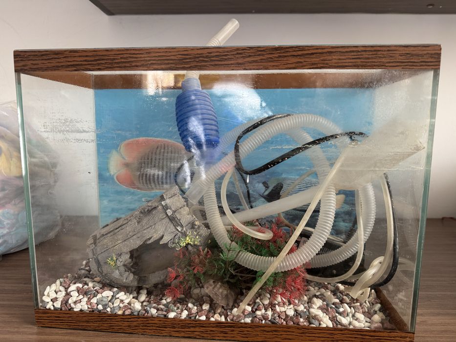 Аквариум без рыб все нудное есть