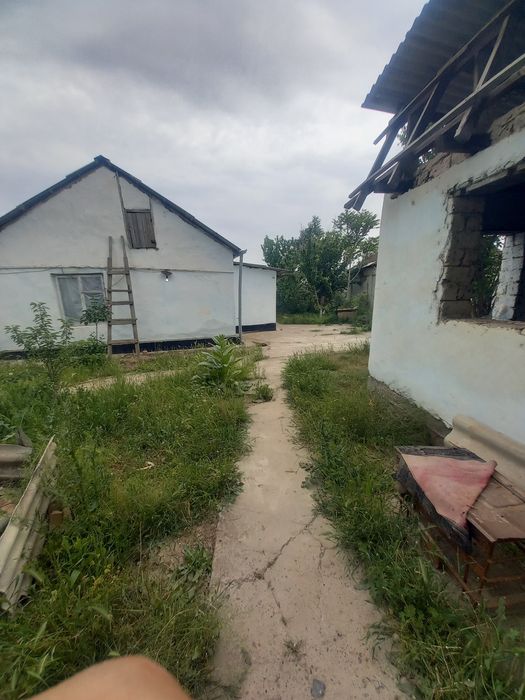 Сирдарйо Шахар Сентирдан бир куча кирганда Дасаф ку'ча