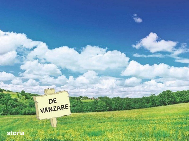 Vânzare teren intravilan – 9.500 mp, DN26 -Padurea Garboavele, Tuluces