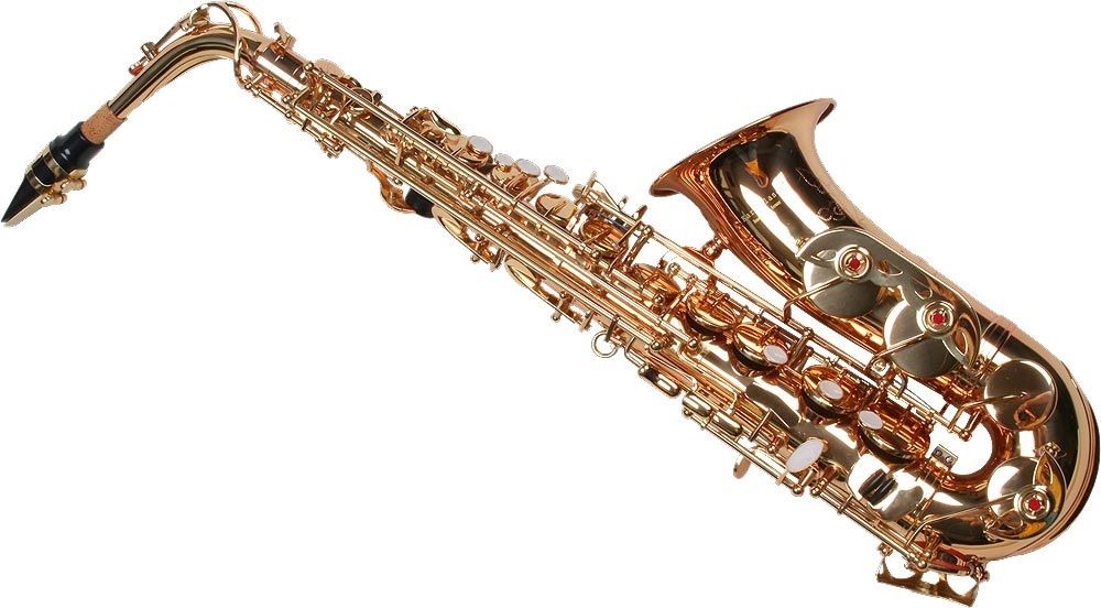 Saxofon Alto Karl Glaser AURIU curbat Sax NOU Saxophone Germania