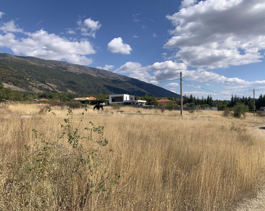 Продава се Парцел в Карлово - 2843 кв.м за 80 €/кв.м - Снимка #3