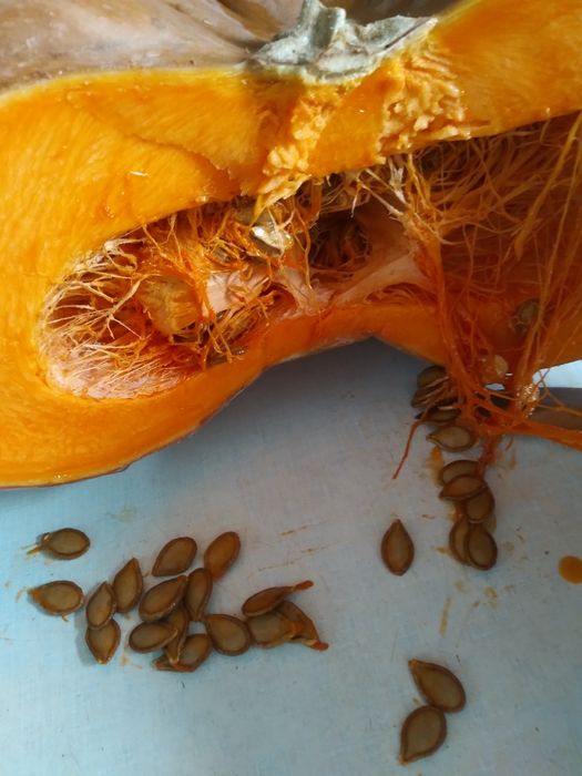 Тыква кусочками сладкая