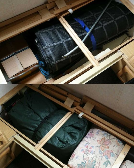 Bailey Pageant CHAMPAGNE Solar