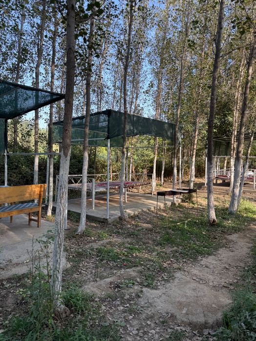 Бассейн Самарканд. Аренда бассейна. Коттедж. Зона отдыха. Дача