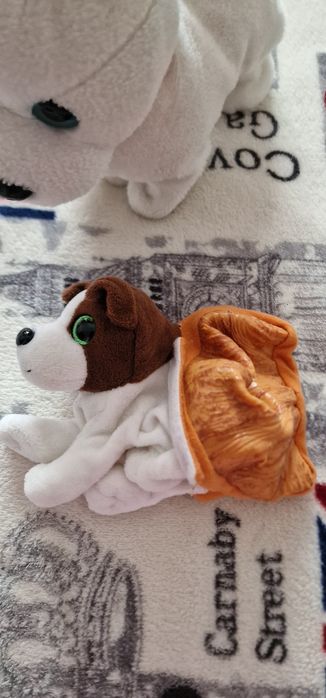 Lot cățeluși drăguți