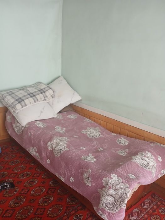 Kravat karichnivi