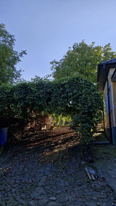Vând casa Budacu de Jos