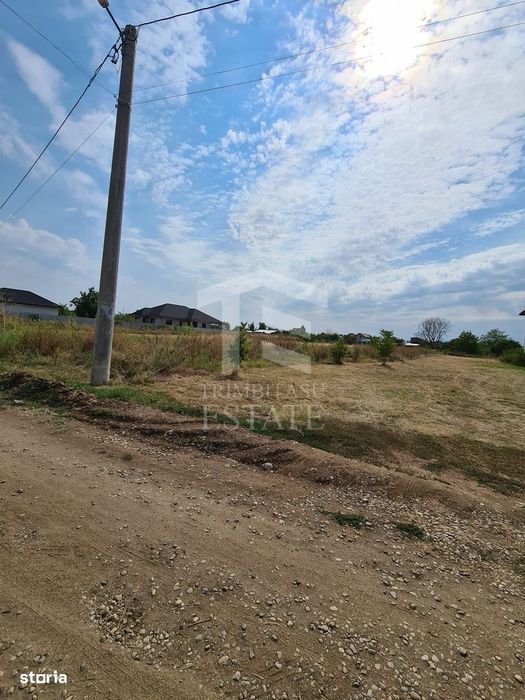 Teren intravilan Domnești-Strada Zori de Zi-Sos. Independentei