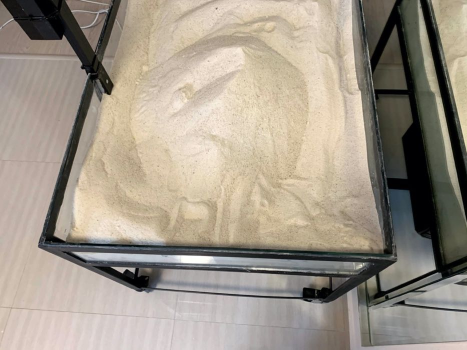 AR Sanbox - Lada de nisip cu Realitate Augmentata