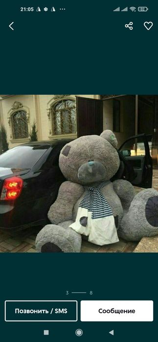 Тедди Teddy Teddi Teddiy по, Оптовым цена Teddy ayig'i original Mishka