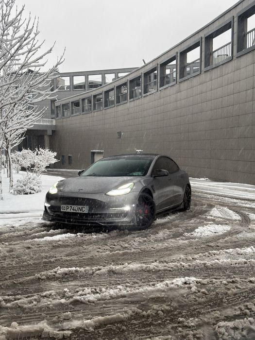 Tesla Model 3 Performance