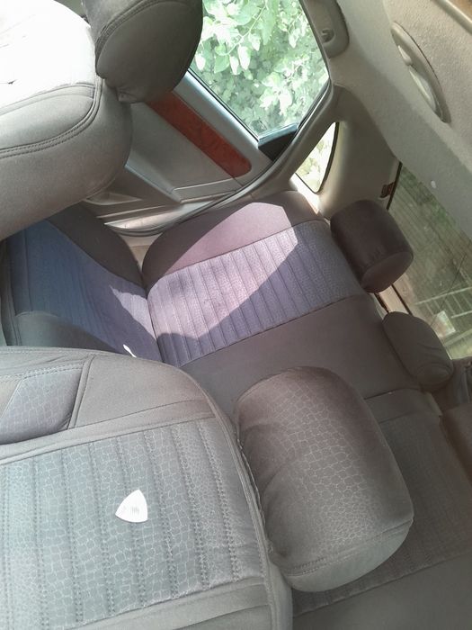 Lassit mator moy yiydi