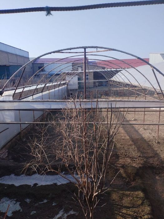 Парник. Иссикхона сотилади 2.60