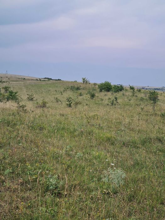 Vand teren extravilan 2500m2 in Salicea.