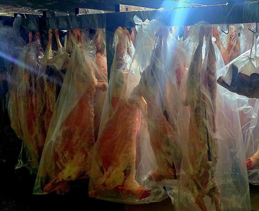 Монголиядан келтирилиган ҳалол ва сифатли гўштлар сотамиз.