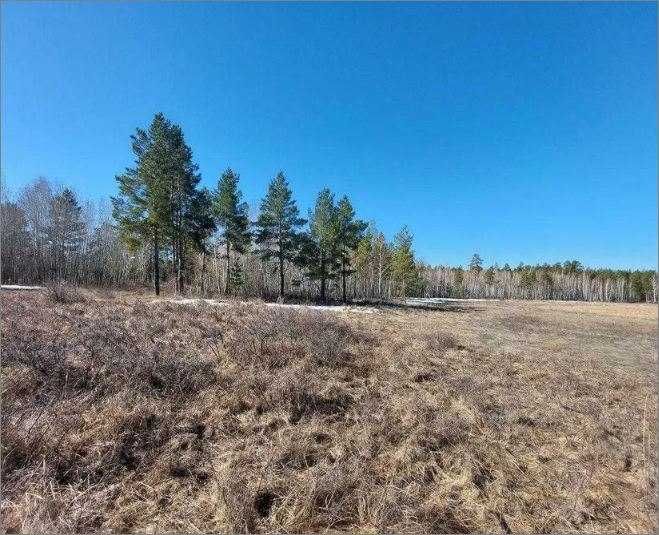 Продам зем. участок в п. Мичурино