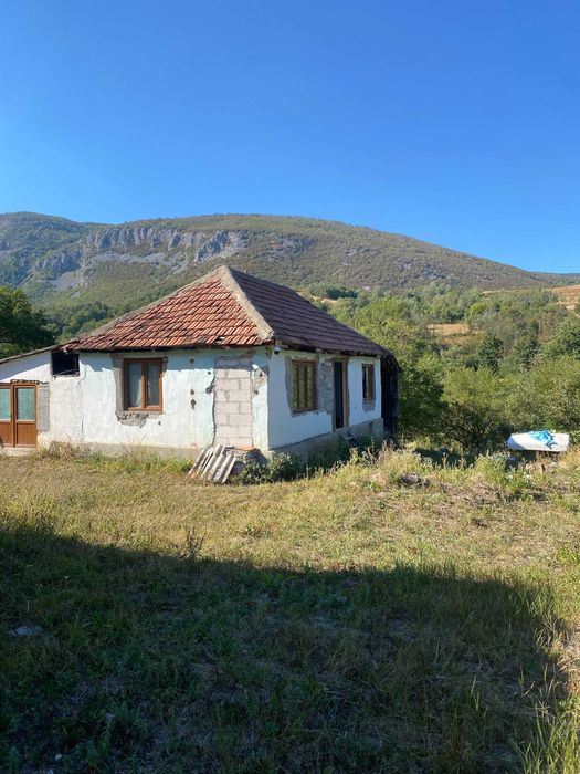 vand casa cu gradina