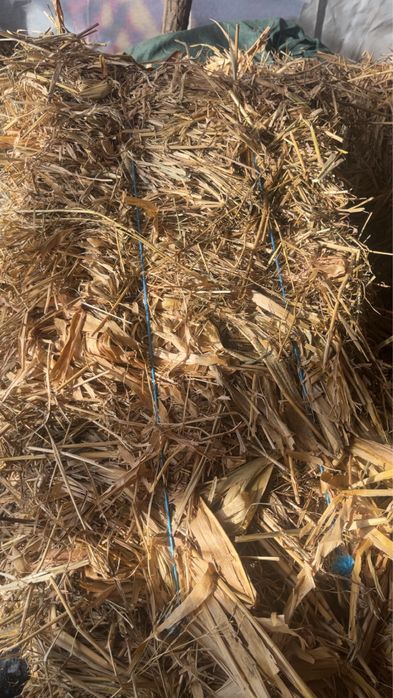 Baloti de cocenasi si trifoi !