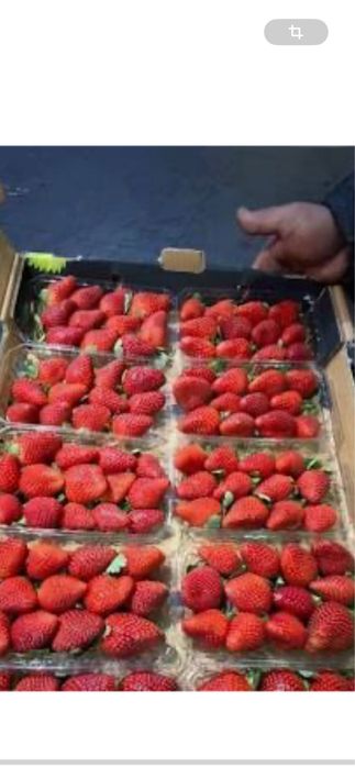 клубника в каробке