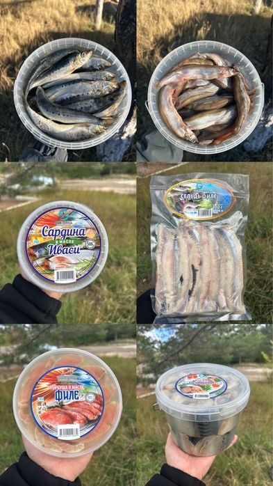 Рыбная продукция