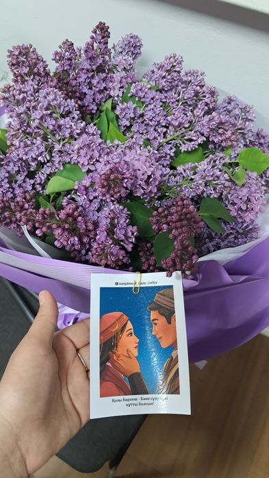 Сирень гүлі арзан бағада