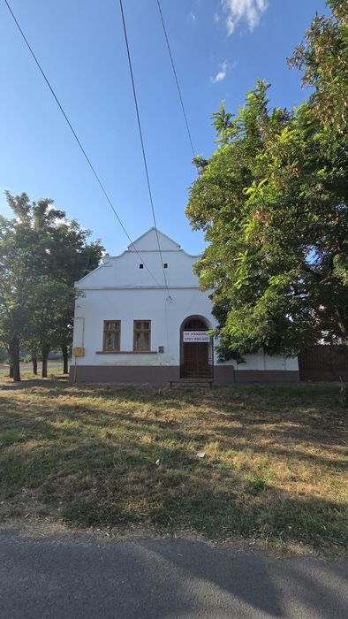 Vand casa Satchinez