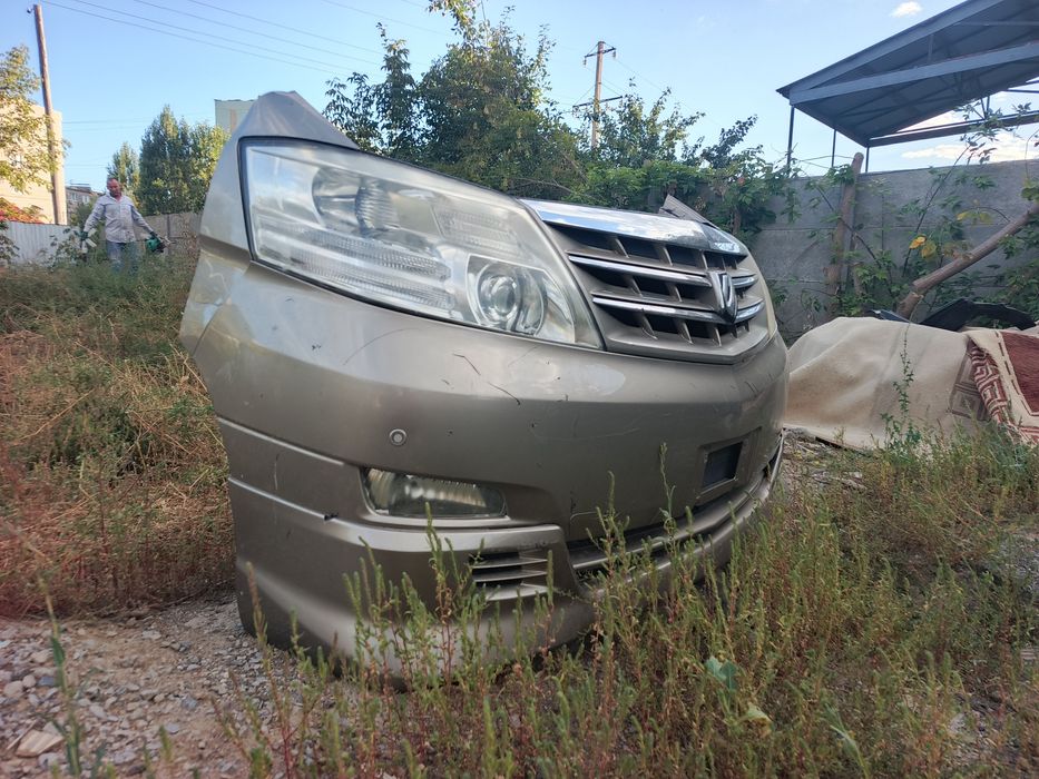 Toyota Alphard ноускат миниморда бампер