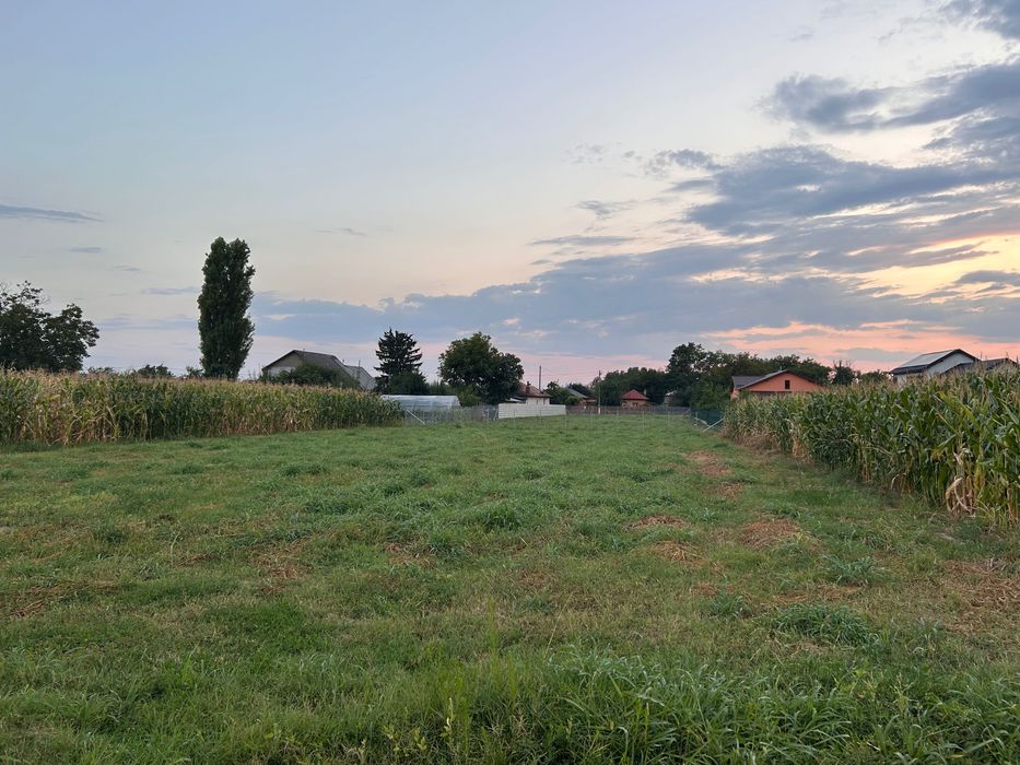 Teren intravilan 1263 mp - direct proprietar
