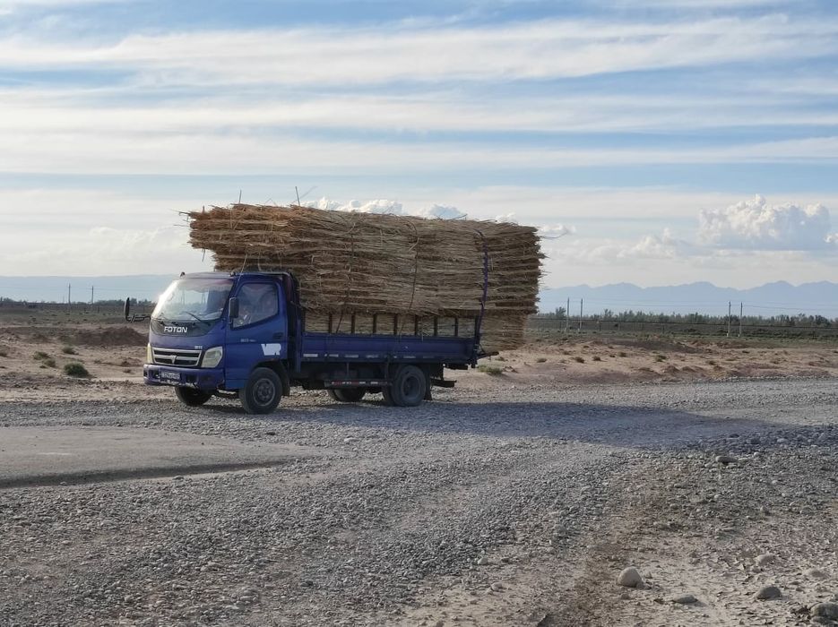 Камыс, Камыш маты