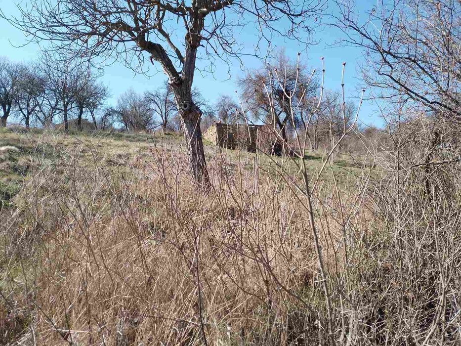 Продава се Парцел в с. Прибой, Област Перник - 2600 кв.м за 7 €/кв.м - Снимка #2