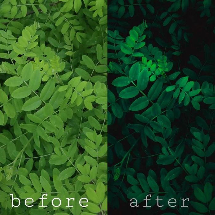 Обработка фотографий, ретушинг